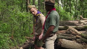 scoutboys: A Woodland Symphony of Love