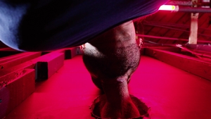 Icon Male: Freaky Studs Get Extra Wild