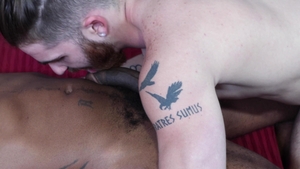 Men Over 30: Nick and Romance's Confinement Climax