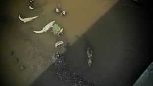 Corbin Fisher: A New Chapter for Freshman Ethan