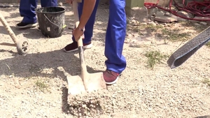 staxus: Analing Their Way to Work